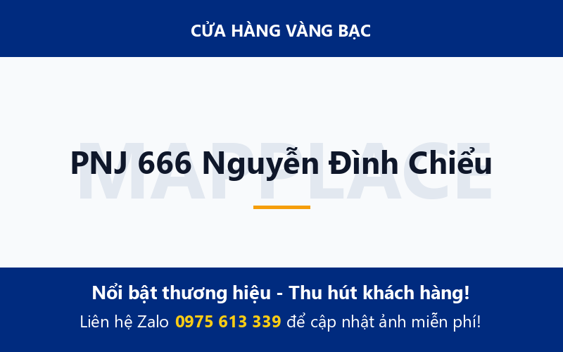 PNJ 666 Nguyễn Đình Chiểu