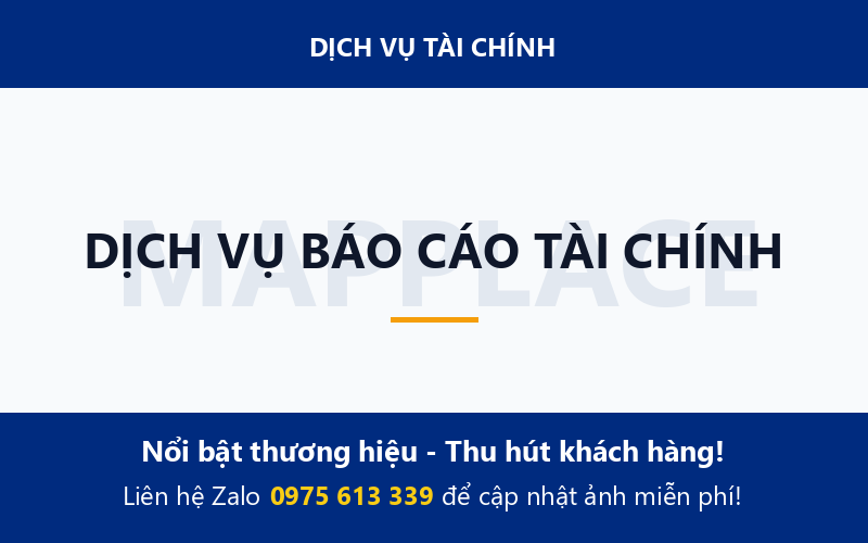 DỊCH VỤ BÁO CÁO TÀI CHÍNH