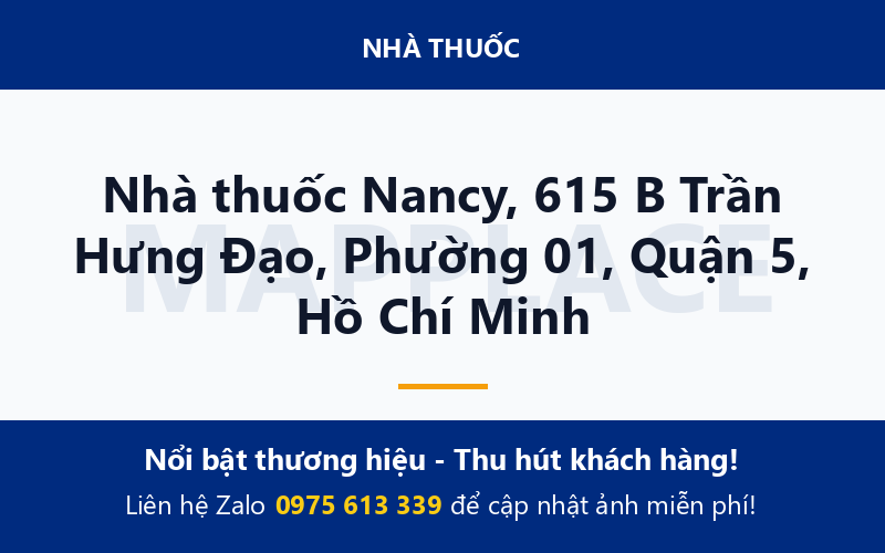 Nhà thuốc Nancy, 615 B Trần Hưng Đạo, Phường 01, Quận 5, Hồ Chí Minh