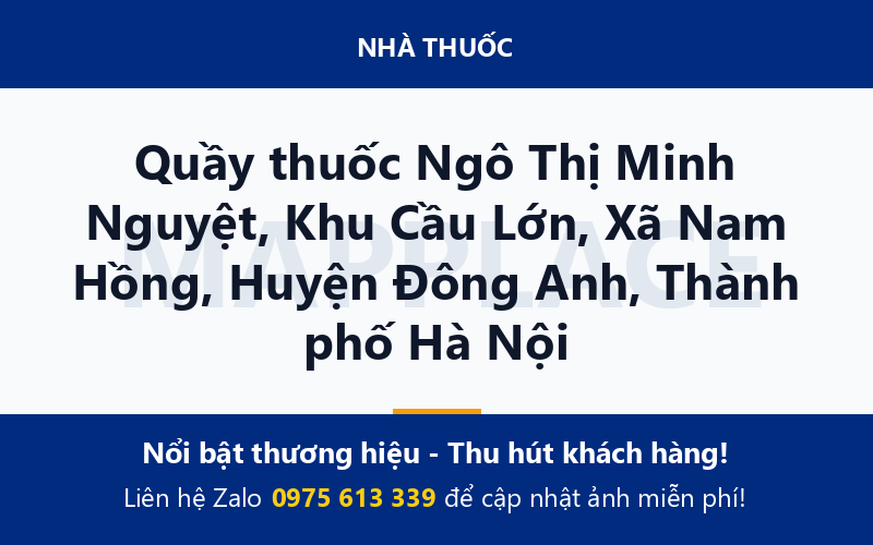 Quầy thuốc Ngô Thị Minh Nguyệt, Khu Cầu Lớn, Xã Nam Hồng, Huyện Đông Anh, Thành phố Hà Nội