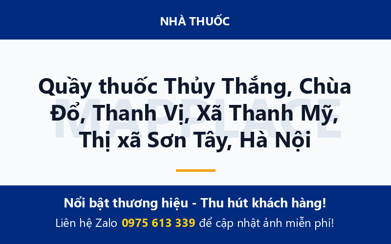 Quầy thuốc Thủy Thắng, Chùa Đổ, Thanh Vị, Xã Thanh Mỹ, Thị xã Sơn Tây, Hà Nội