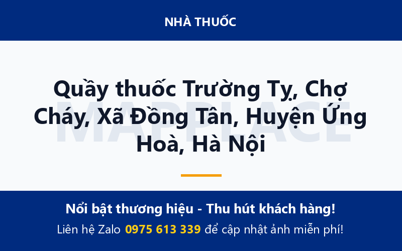 Quầy thuốc Trường Tỵ, Chợ Cháy, Xã Đồng Tân, Huyện Ứng Hoà, Hà Nội