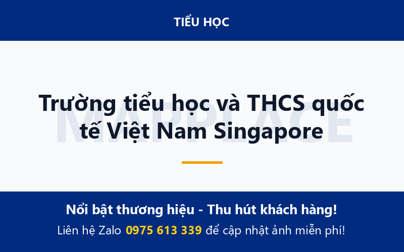 Trường tiểu học và THCS quốc tế Việt Nam Singapore